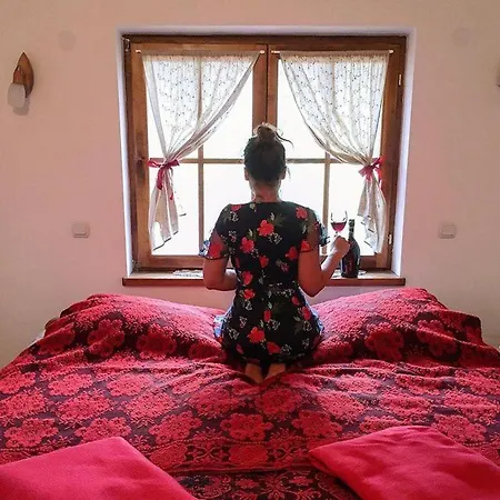 Bed & Breakfast Podrum Miljevic Ledinci