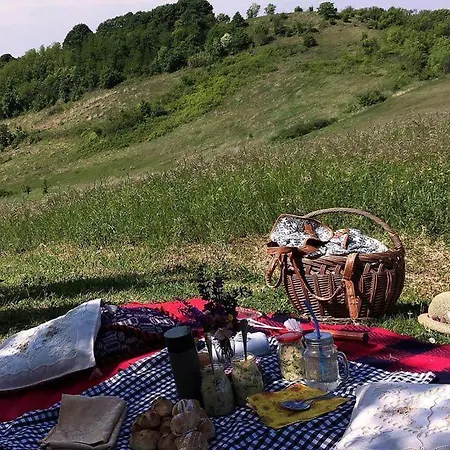 Bed & Breakfast Podrum Miljevic